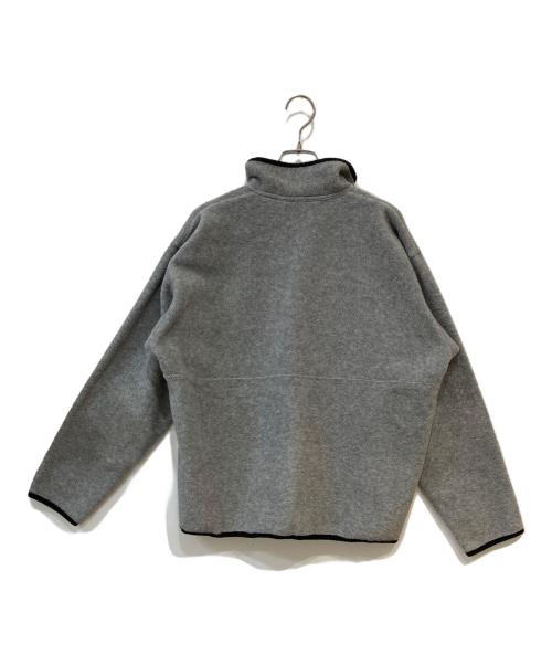 THE NORTH FACE（ザ ノース フェイス）THE NORTH FACE (ザ ノース フェイス) ARMADILLA スナップフリースプルオーバー グレー サイズ:不明の古着・服飾アイテム