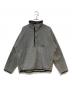 THE NORTH FACE（ザ ノース フェイス）の古着「ARMADILLA スナップフリースプルオーバー」｜グレー