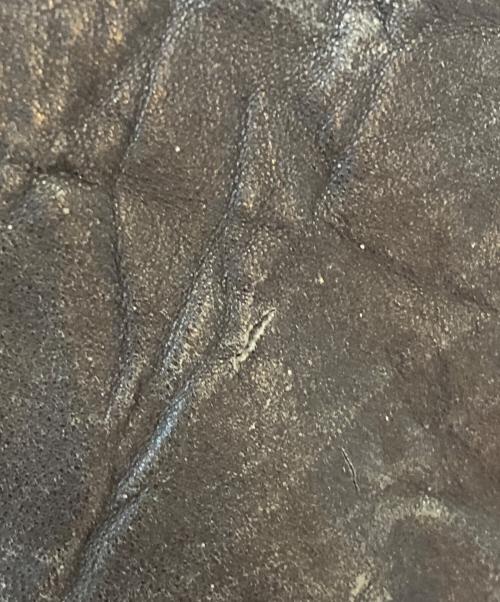 SEAN JOHN（ショーンジョン）SEAN JOHN (ショーンジョン) レザージャケット ブラック サイズ:XXLの古着・服飾アイテム