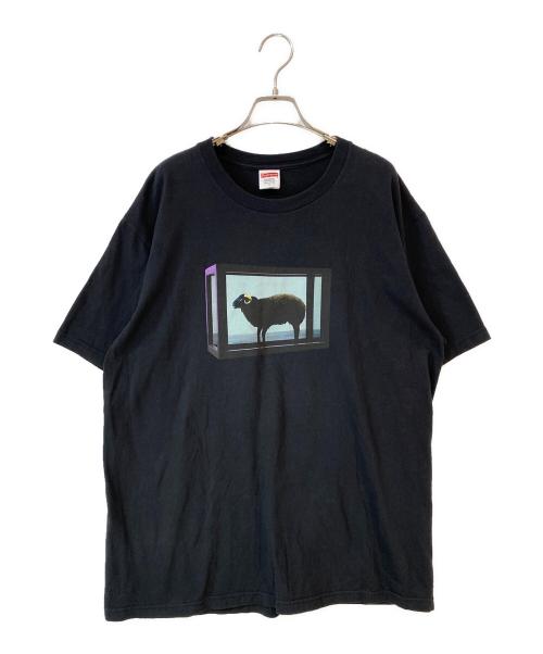 SUPREME（シュプリーム）SUPREME (シュプリーム) 25SS Damien Hirst Tee ブラック サイズ:Lの古着・服飾アイテム