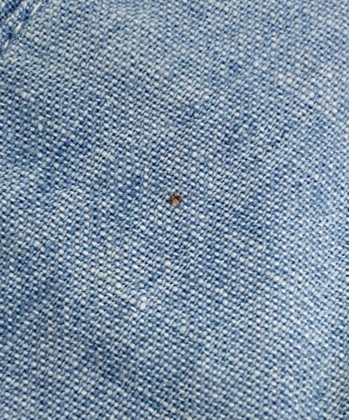 Sears（シアーズ）Sears (シアーズ) 50-60s シャンブレーシャツ ブルー サイズ:不明の古着・服飾アイテム