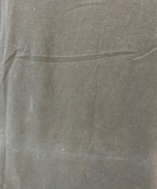 TENNESSEE RIVER（テネシー リバー）TENNESSEE RIVER (テネシー リバー) バンドTシャツ ブラック サイズ:Lの古着・服飾アイテム