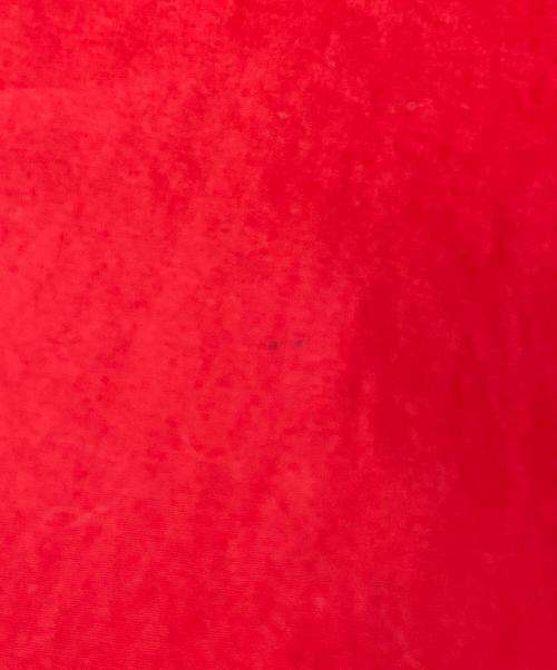 RALPH LAUREN（ラルフローレン）RALPH LAUREN (ラルフローレン) ナイロンジャケット レッド サイズ:9の古着・服飾アイテム