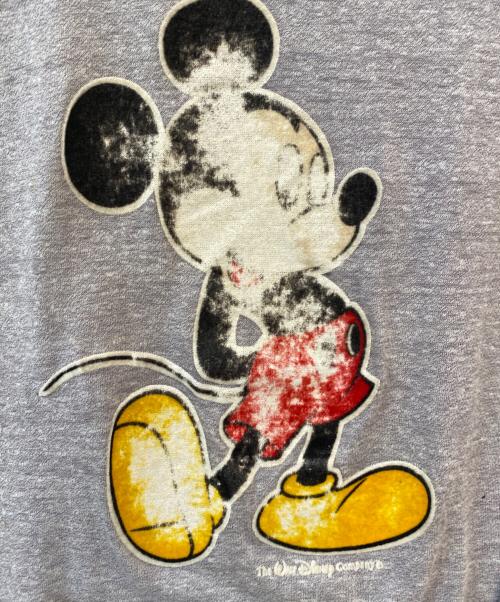 Champion（チャンピオン）Champion (チャンピオン) UW EAU CLAIRE プリントTシャツ グレー サイズ:Lの古着・服飾アイテム