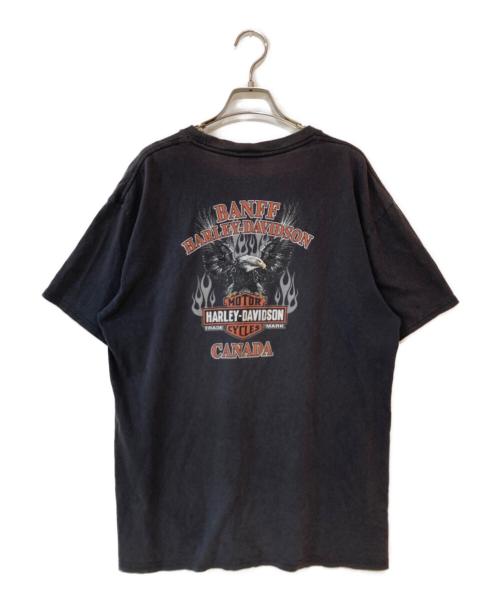 HARLEY-DAVIDSON（ハーレーダビッドソン）HARLEY-DAVIDSON (ハーレーダビッドソン) 00’s 両面プリントTシャツ グレー サイズ:Lの古着・服飾アイテム