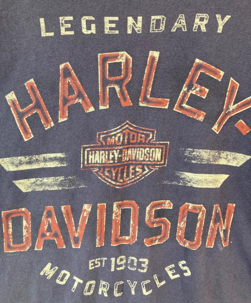 HARLEY-DAVIDSON（ハーレーダビッドソン）HARLEY-DAVIDSON (ハーレーダビッドソン) 00’s 両面プリントTシャツ グレー サイズ:Lの古着・服飾アイテム