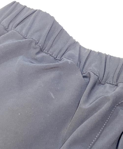 THE NORTH FACE（ザ ノース フェイス）THE NORTH FACE (ザ ノース フェイス) Alpine Light Pant ブラック サイズ:Lの古着・服飾アイテム