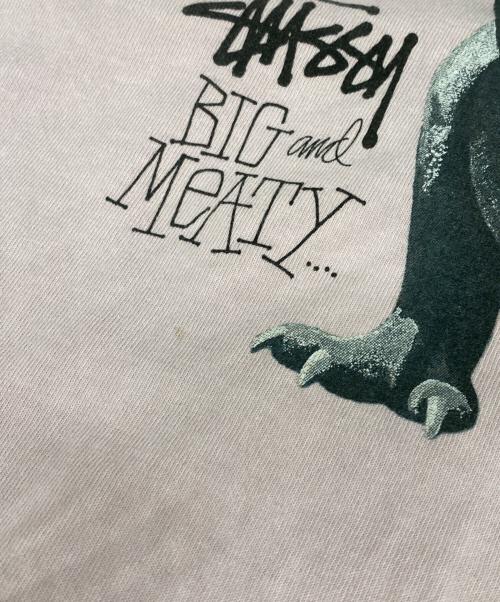 stussy（ステューシー）stussy (ステューシー) BIG&MEATY PIG.DYED TEE ピンク サイズ:Lの古着・服飾アイテム