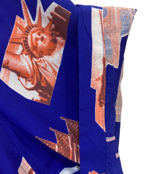 SCHOTT BROS.（ショットブロス）SCHOTT BROS. (ショットブロス) N.Y.PHOTO HAWAIIAN SHIRT ブルー サイズ:Mの古着・服飾アイテム