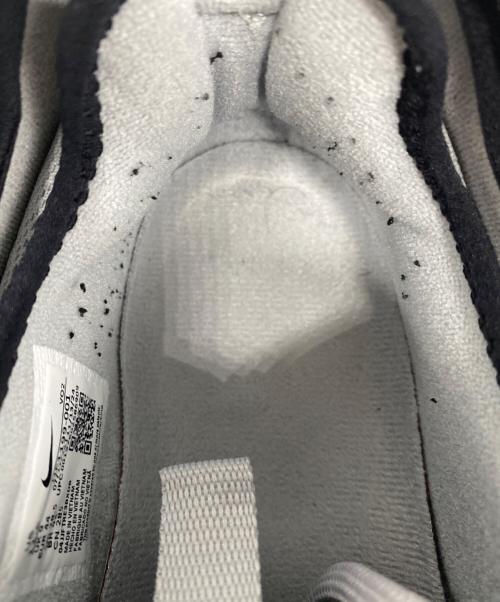NIKE（ナイキ）NIKE (ナイキ) AIR MAX SNDR ローカットスニーカー SILVER/BLACK-WHITE-ANTHRACITE サイズ:28.5cmの古着・服飾アイテム