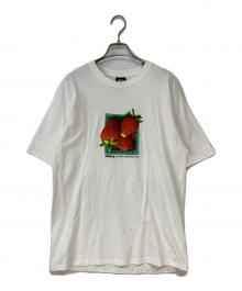 stussy（ステューシー）の古着「25SS BERRIES TEE」｜ホワイト