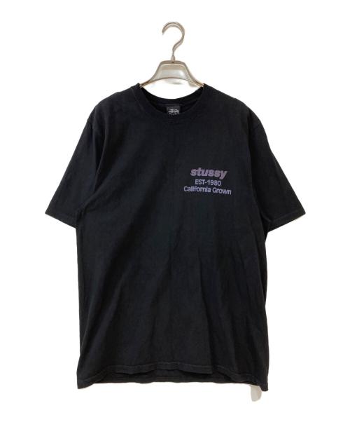 stussy（ステューシー）stussy (ステューシー) California Grown Pigment Dyed T-Shirt オレンジ サイズ:Mの古着・服飾アイテム