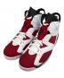 NIKE（ナイキ）の古着「AIR JORDAN 6 RETRO 