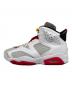 NIKIE (ナイキ) AIR JORDAN 6 RETRO 