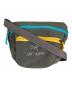 ARC'TERYX（アークテリクス）の古着「別注 ARRO Waist pack」｜グレー