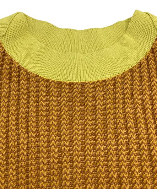 AKANE UTSUNOMIYA（アカネウツノミヤ）AKANE UTSUNOMIYA (アカネウツノミヤ) ゼロコットンショートニット ブラウン×イエロー サイズ:FREEの古着・服飾アイテム