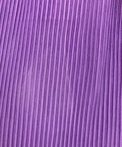 HOMME PLISSE ISSEY MIYAKE（オム プリッセ イッセイ ミヤケ）HOMME PLISSE ISSEY MIYAKE (オムプリッセ イッセイ ミヤケ) プリーツパンツ パープル サイズ:2の古着・服飾アイテム