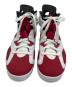 NIKE (ナイキ) Air Jordan 6 
