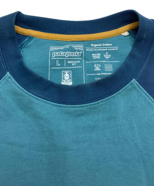 Patagonia（パタゴニア）Patagonia (パタゴニア) ラグランスリーブクルーネックスウェット グリーン サイズ:Lの古着・服飾アイテム