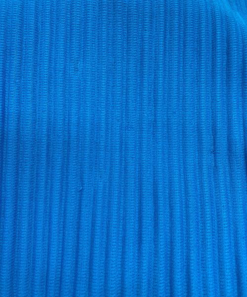 HOMME PLISSE ISSEY MIYAKE（オム プリッセ イッセイ ミヤケ）HOMME PLISSE ISSEY MIYAKE (オム プリッセ イッセイ ミヤケ) ボタンフライ テーラードプリーツ パンツ ブルー サイズ:1の古着・服飾アイテム