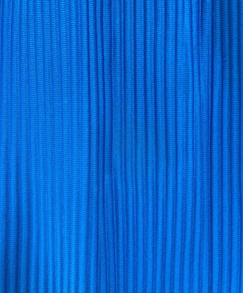 HOMME PLISSE ISSEY MIYAKE（オム プリッセ イッセイ ミヤケ）HOMME PLISSE ISSEY MIYAKE (オム プリッセ イッセイ ミヤケ) ボタンフライ テーラードプリーツ パンツ ブルー サイズ:1の古着・服飾アイテム