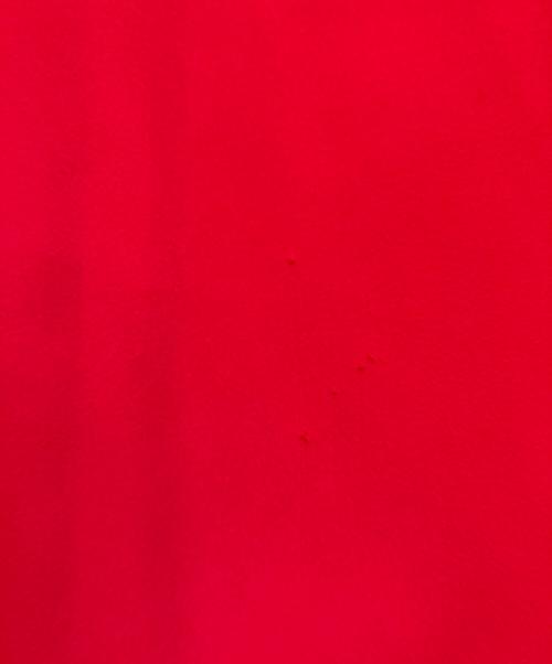 YOKO CHAN（ヨーコチャン）YOKO CHAN (ヨーコチャン) ヘムデザインブラウス レッド サイズ:36の古着・服飾アイテム