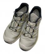 SALOMONサロモン）の古着「XT-パスウェイゴアテックス」｜グレー