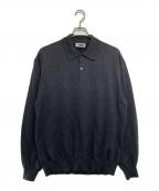 H BEAUTY&YOUTHエイチ ビューティー&ユース）の古着「Filatura Tollegno 1900 S.r.l.ニットポロシャツ」｜グレー