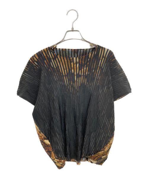 ISSEY MIYAKE（イッセイミヤケ）ISSEY MIYAKE (イッセイミヤケ) 07SS Pleated Print Sleeveless Cut and Sewn ブラウン サイズ:2の古着・服飾アイテム