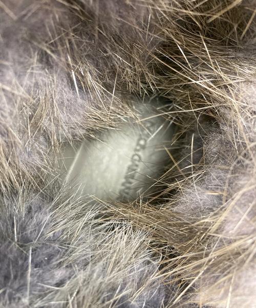 DOLCE & GABBANA（ドルチェ＆ガッバーナ）DOLCE & GABBANA (ドルチェ＆ガッバーナ) ファー ハイカットスニーカー グレー サイズ:8.5の古着・服飾アイテム