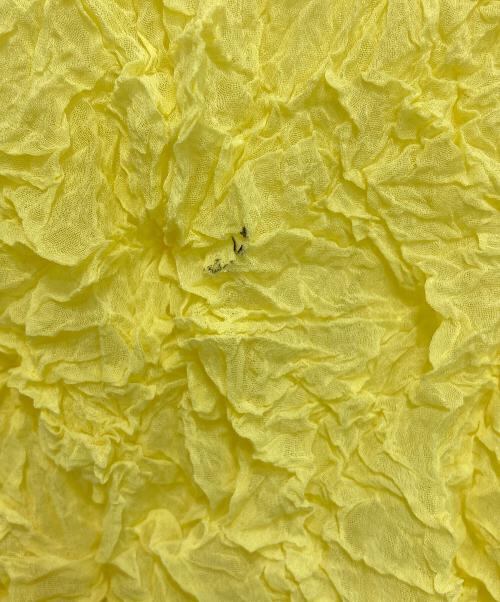 PERMANENTE（ペルマネンテ）PERMANENTE (ペルマネンテ) ワッシャー加工カットソー イエロー サイズ:2の古着・服飾アイテム