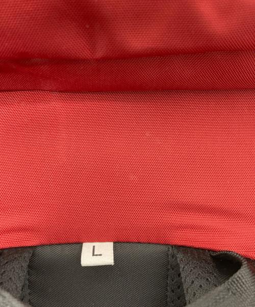 THE NORTH FACE（ザ ノース フェイス）THE NORTH FACE (ザ ノース フェイス) TELLUS 45 レッド サイズ:Lの古着・服飾アイテム