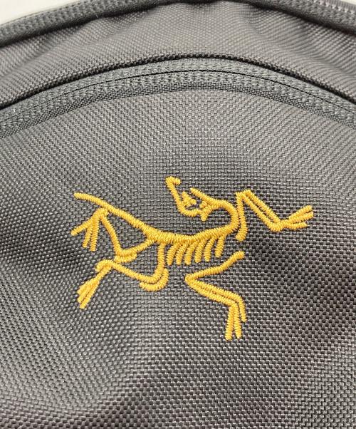 ARC'TERYX（アークテリクス）ARC'TERYX (アークテリクス) マンティス 1 ウエストパック ブラックの古着・服飾アイテム