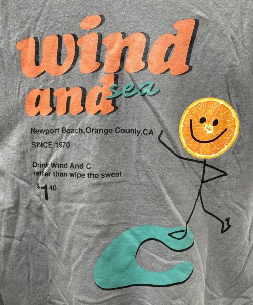 WIND AND SEA（ウィンダンシー）WIND AND SEA (ウィンダンシー) プリントカットソー グレー サイズ:Lの古着・服飾アイテム