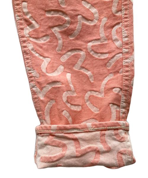 EVISU（エヴィス）EVISU (エビス) LOT 5500 カモメ総柄ジャガードデニムパンツ ピンク サイズ:34の古着・服飾アイテム