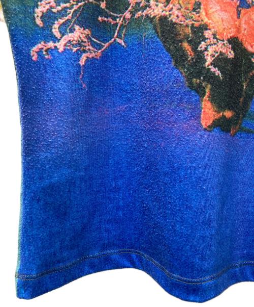 CHOPOVA LOWENA（チョポヴァ・ロウェナ）CHOPOVA LOWENA (チョポヴァ・ロウェナ) グラフィックTシャツ マルチカラー サイズ:Mの古着・服飾アイテム