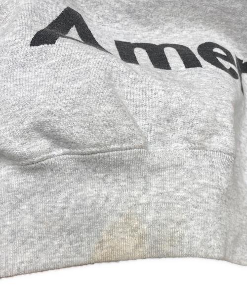 SUPREME（シュプリーム）SUPREME (シュプリーム) ANTIHERO (アンタイヒーロー) Hooded Sweatshirt/プリントプルオーバーパーカー グレー サイズ:Sの古着・服飾アイテム