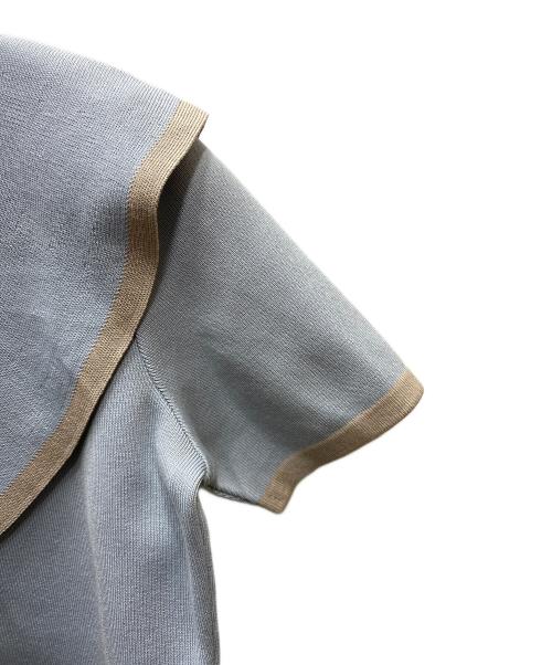 Rene（ルネ）Rene (ルネ) ショートスリーブニット ブルー サイズ:34 未使用品の古着・服飾アイテム