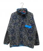 Patagoniaパタゴニア）の古着「シンチラスナップT フリースプルオーバー」｜グレー×ブルー