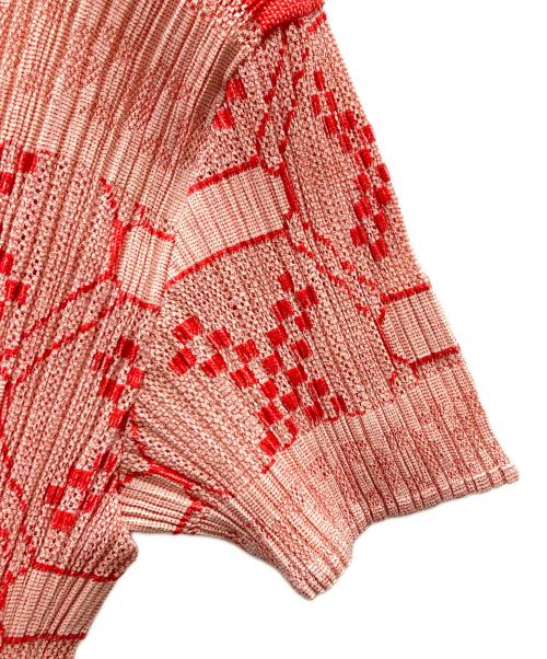 PLEATS PLEASE（プリーツプリーズ）PLEATS PLEASE (プリーツプリーズ) 総柄プリーツS/Sカットソー レッド×ベージュ サイズ:SIZE3の古着・服飾アイテム