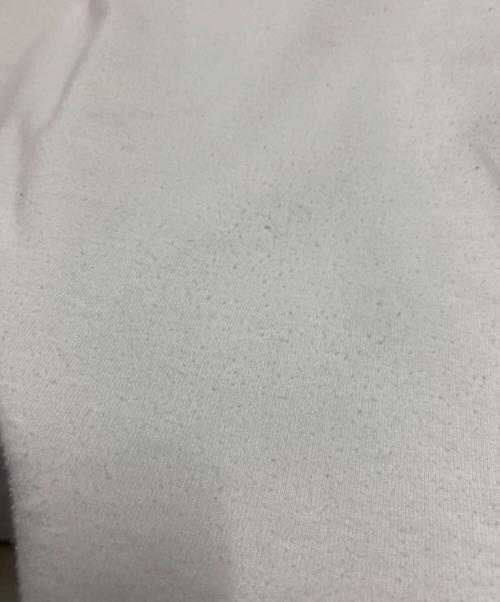 stussy（ステューシー）stussy (ステューシー) Tシャツ ホワイト サイズ:Ⅼの古着・服飾アイテム