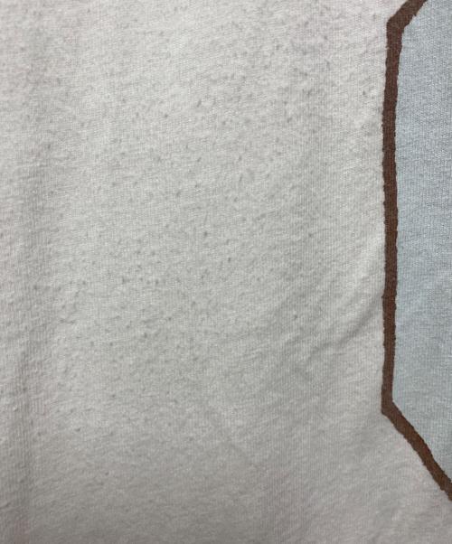 stussy（ステューシー）stussy (ステューシー) Tシャツ ホワイト サイズ:Ⅼの古着・服飾アイテム