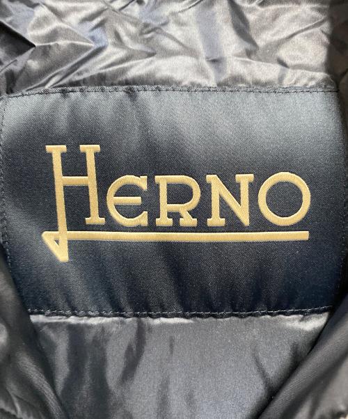 HERNO（ヘルノ）HERNO (ヘルノ) ナイロンウルトラライトコンビダウンフーディーブルゾン ネイビー サイズ:44の古着・服飾アイテム
