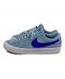 NIKE (ナイキ) ローカットスニーカー スカイブルー サイズ:27cm：5000円