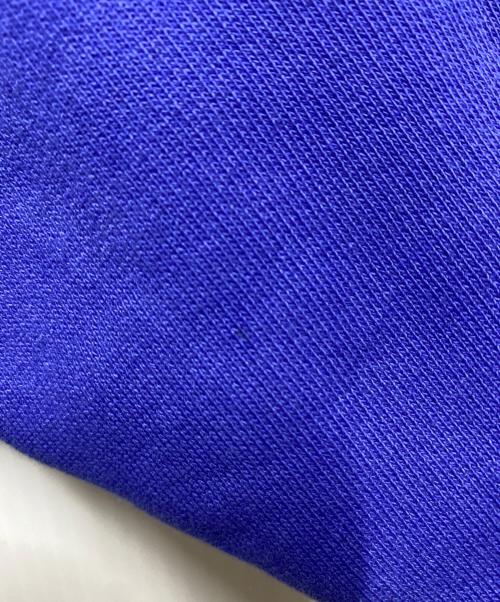 stussy（ステューシー）stussy (ステューシー) FADED GRAPHIC ZIP HOODIE ブルー サイズ:Ｓの古着・服飾アイテム