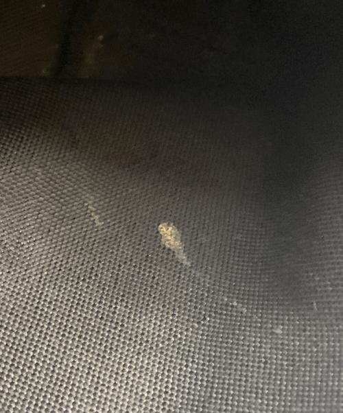 GUCCI（グッチ）GUCCI (グッチ) ポーチ付GGキャンバストート ブラックの古着・服飾アイテム