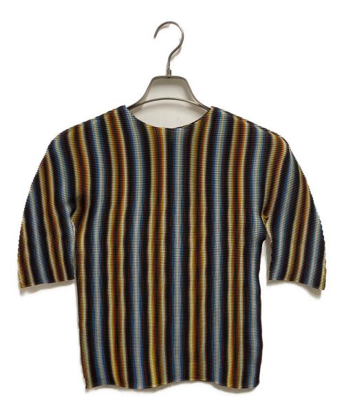 me ISSEY MIYAKE（ミーイッセイ ミヤケ）me ISSEY MIYAKE (ミーイッセイ ミヤケ) ストライププリーツカットソー マルチカラー サイズ:ｆｒｅｅの古着・服飾アイテム