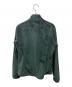 中古・古着 THE NORTH FACE (ザ ノース フェイス) Helata Triclimate Jacket グリーン サイズ:M：9000円