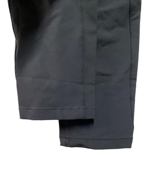 THE NORTH FACE（ザ ノース フェイス）THE NORTH FACE (ザ ノース フェイス) Alpine Light Pant ブラック サイズ:S 未使用品の古着・服飾アイテム