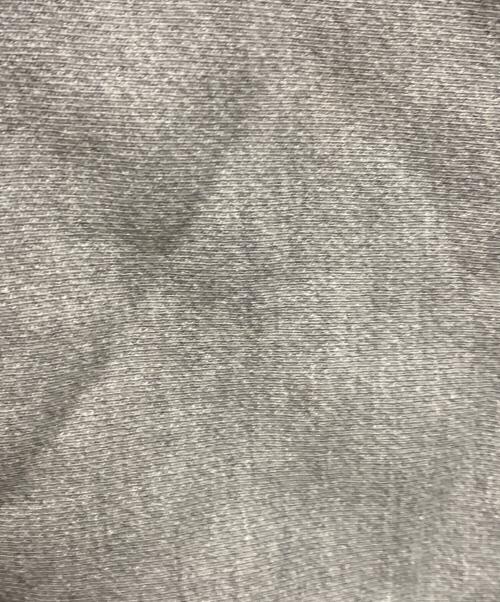 Champion REVERSE WEAVE（チャンピオン リバース ウィーブ）Champion REVERSE WEAVE (チャンピオン リバース ウィーブ) The Almeda Club (ザアラメダクラブ) パーカー グレー サイズ:ＸＬの古着・服飾アイテム